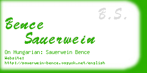 bence sauerwein business card